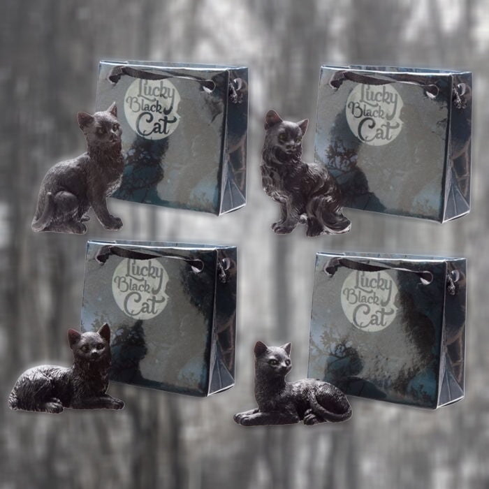 Lucky Black Cat in a Mini Gift Bag